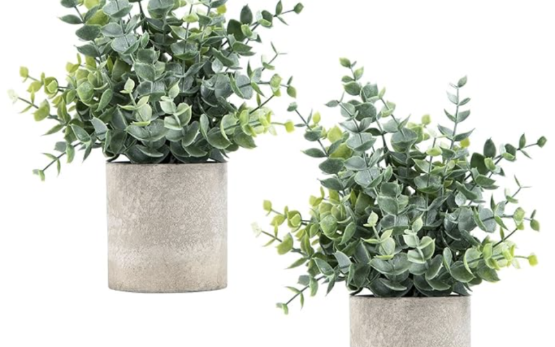 Eucalyptus Potted Artificial Plants